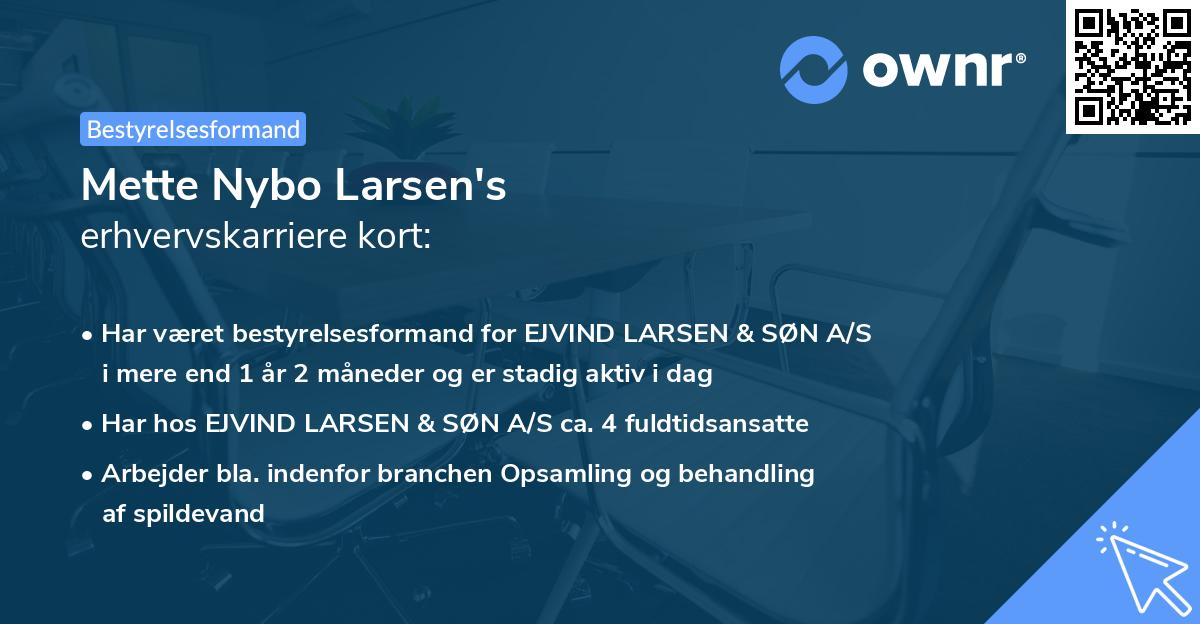 Mette Nybo Larsen's erhvervskarriere kort