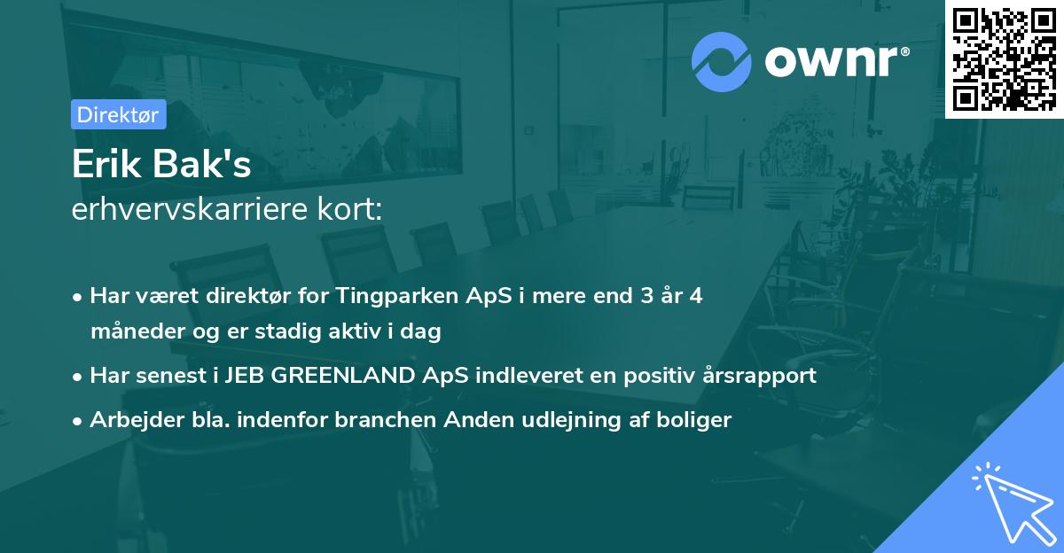 Erik Bak's erhvervskarriere kort