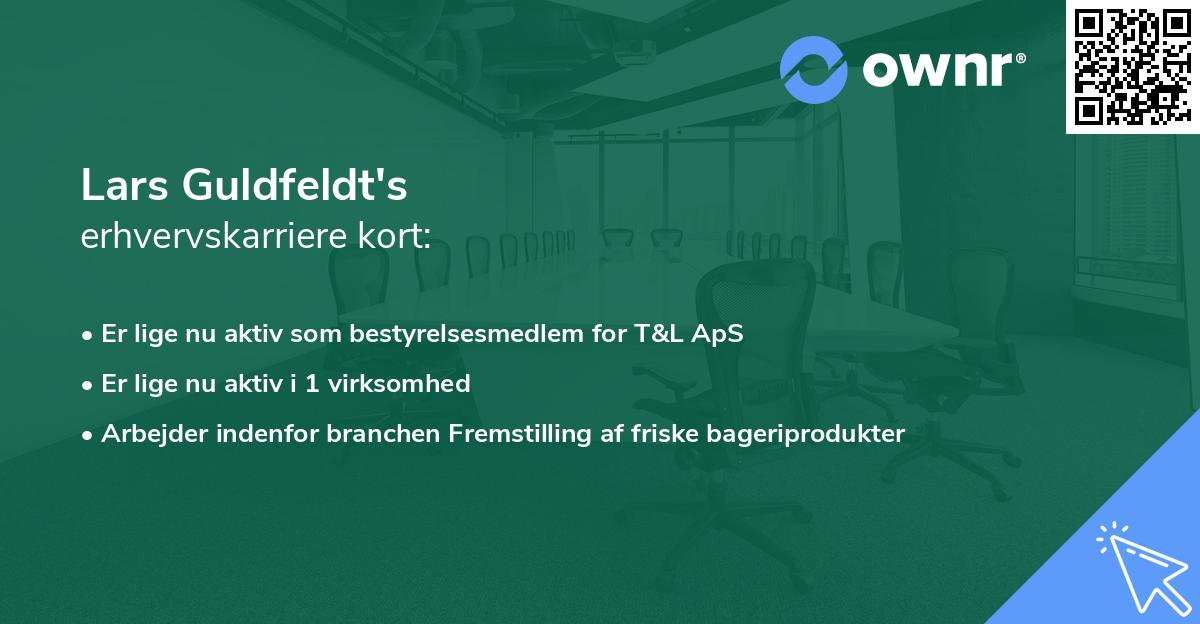Lars Guldfeldt's erhvervskarriere kort