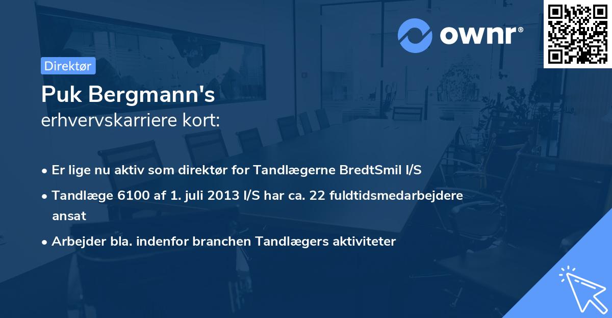 Puk Bergmann's erhvervskarriere kort