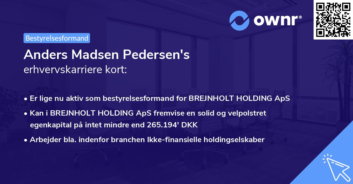 Anders Madsen Pedersen's erhvervskarriere kort