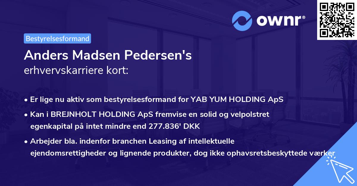 Anders Madsen Pedersen's erhvervskarriere kort