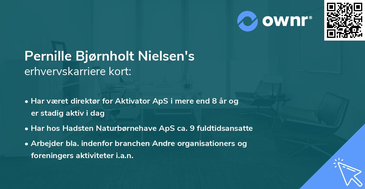 Pernille Bjørnholt Nielsen's erhvervskarriere kort