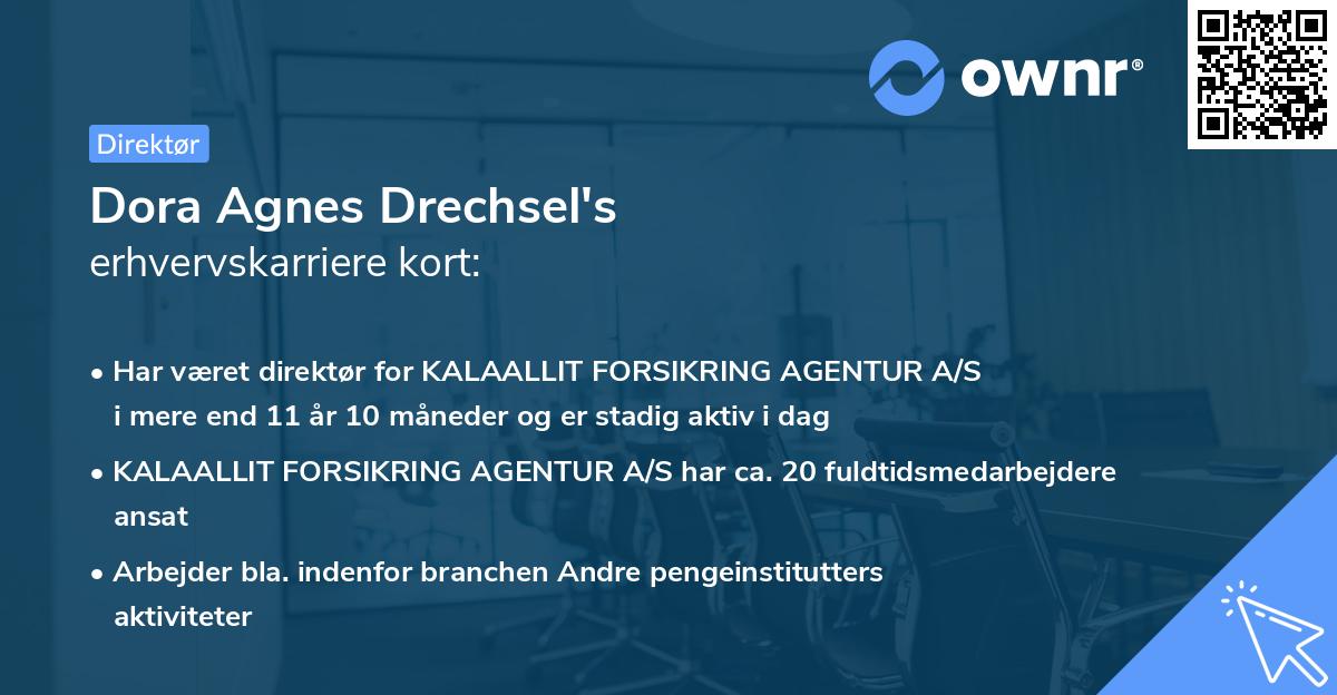Dora Agnes Drechsel's erhvervskarriere kort