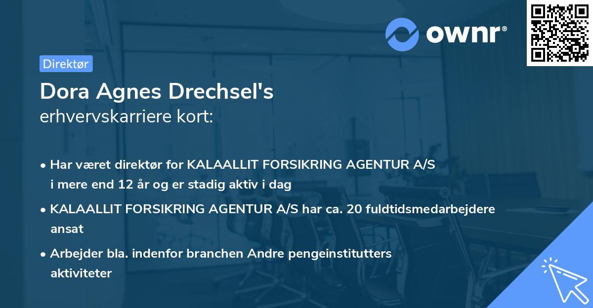 Dora Agnes Drechsel's erhvervskarriere kort