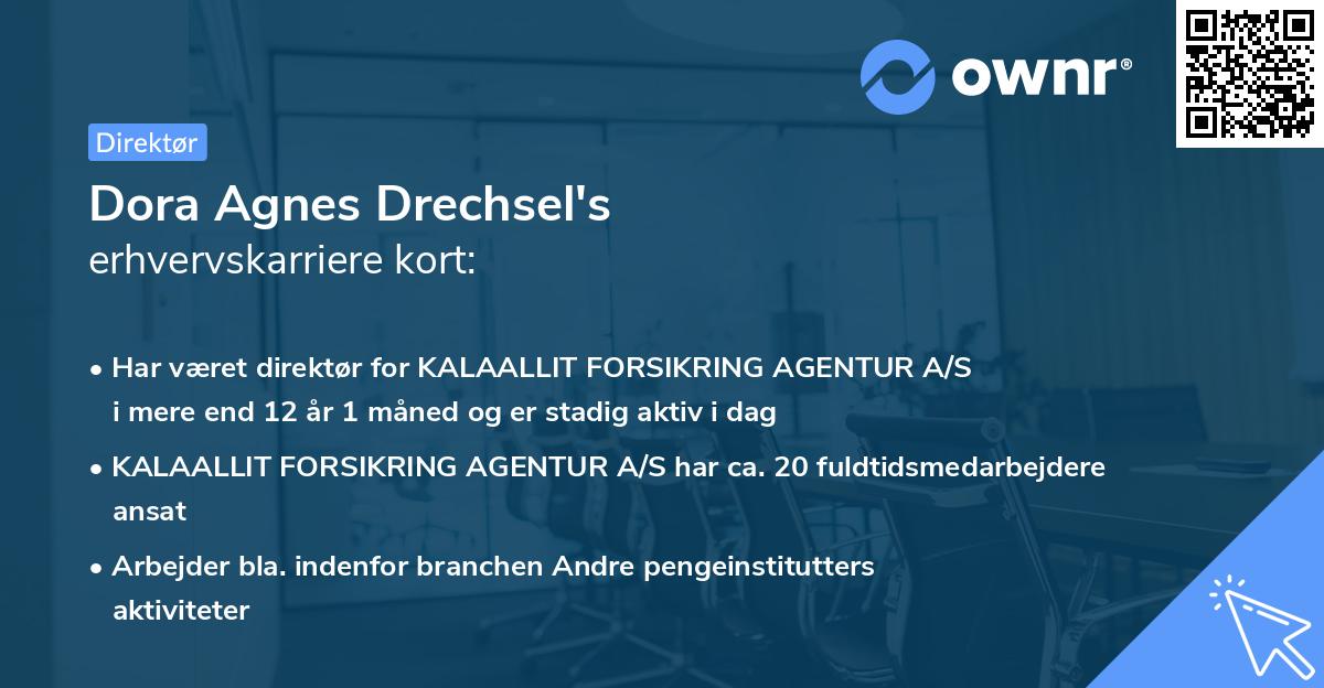 Dora Agnes Drechsel's erhvervskarriere kort