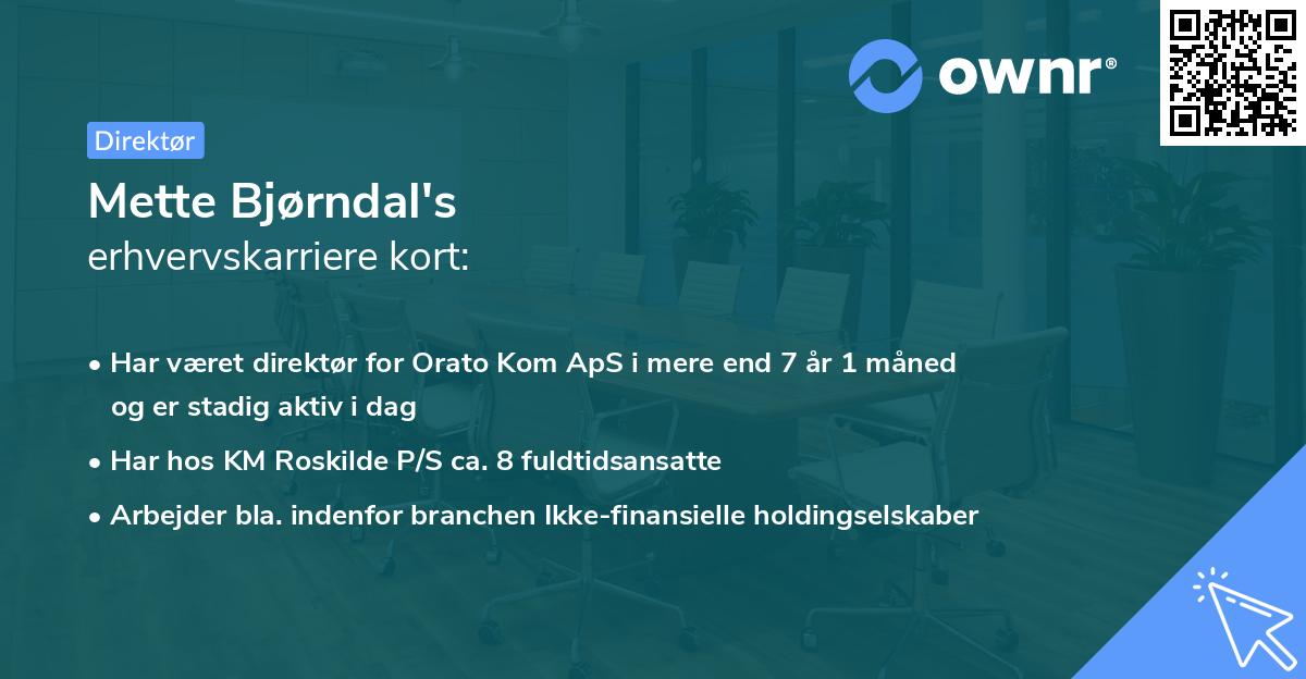 Mette Bjørndal's erhvervskarriere kort