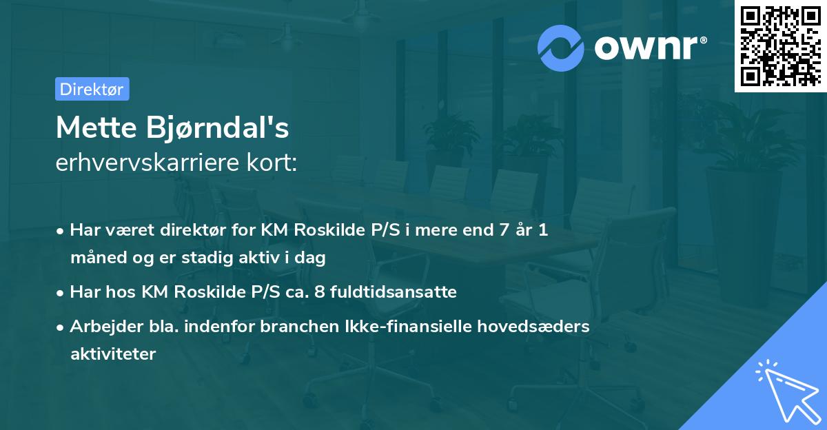 Mette Bjørndal's erhvervskarriere kort