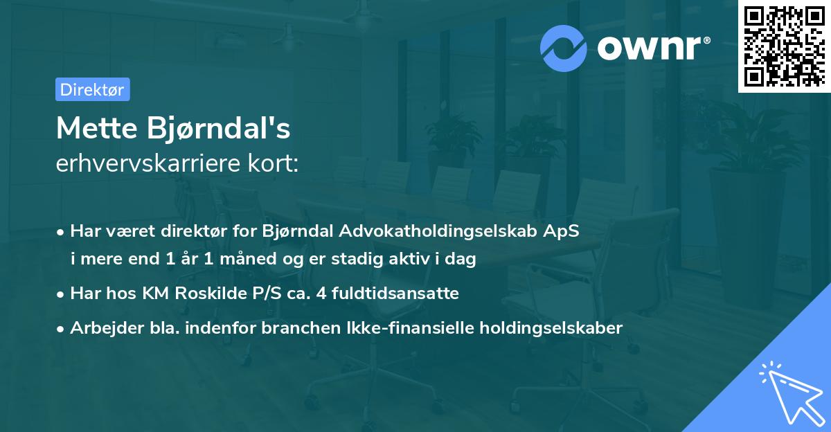 Mette Bjørndal's erhvervskarriere kort
