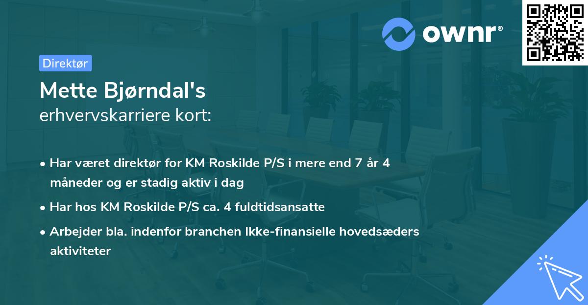 Mette Bjørndal's erhvervskarriere kort