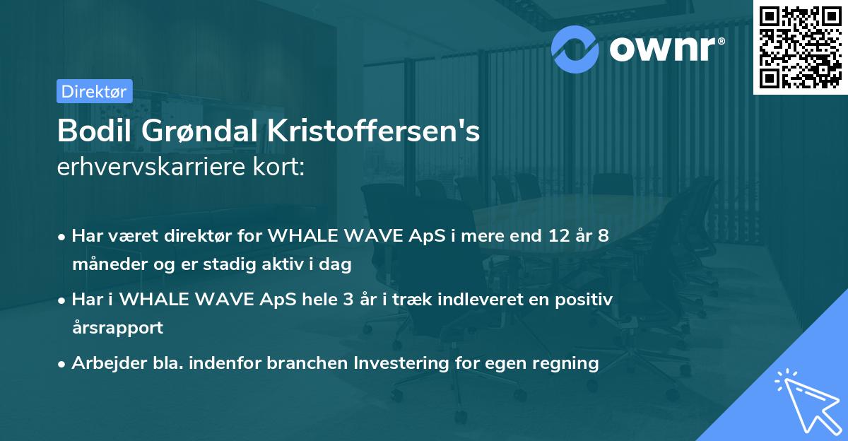 Bodil Grøndal Kristoffersen's erhvervskarriere kort