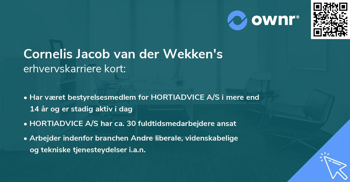 Cornelis Jacob van der Wekken's erhvervskarriere kort