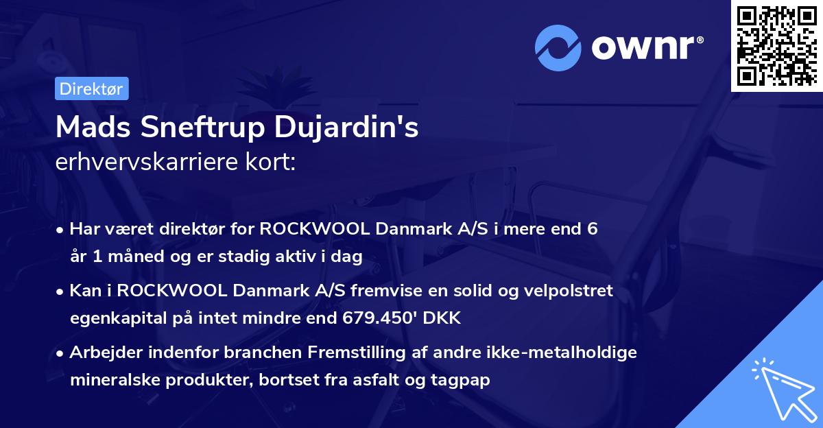 Mads Sneftrup Dujardin's erhvervskarriere kort