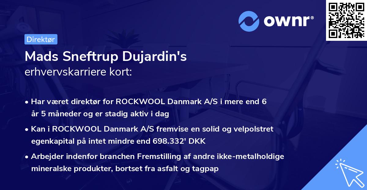 Mads Sneftrup Dujardin's erhvervskarriere kort