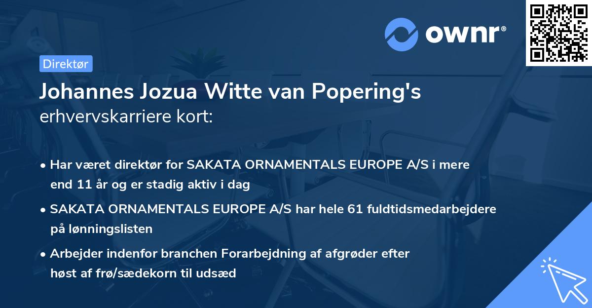 Johannes Jozua Witte van Popering's erhvervskarriere kort