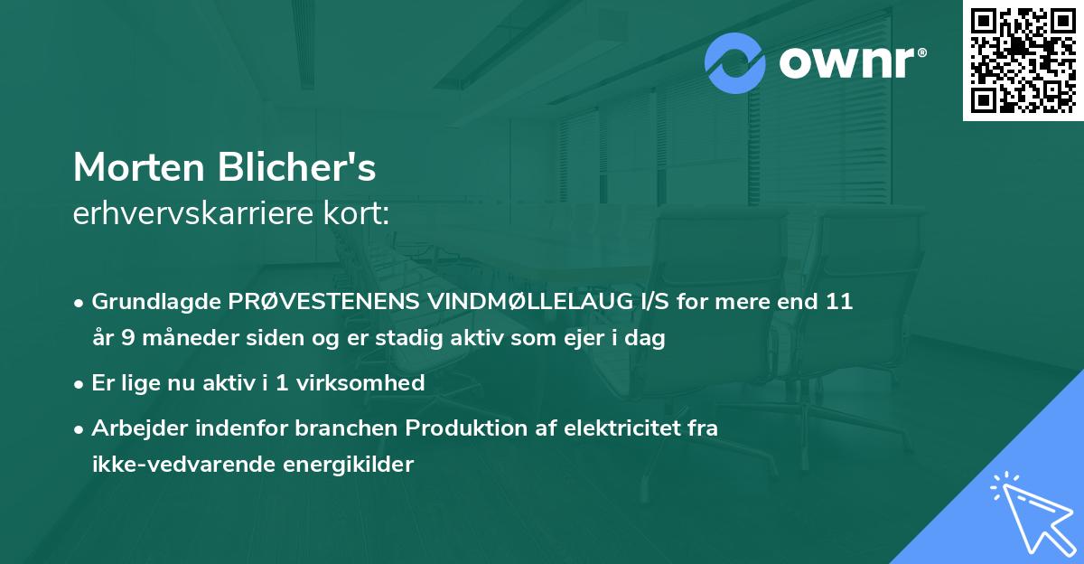 Morten Blicher's erhvervskarriere kort