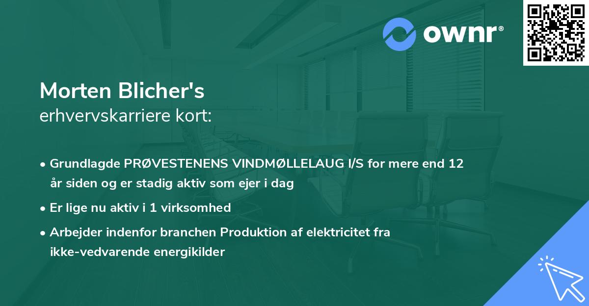 Morten Blicher's erhvervskarriere kort