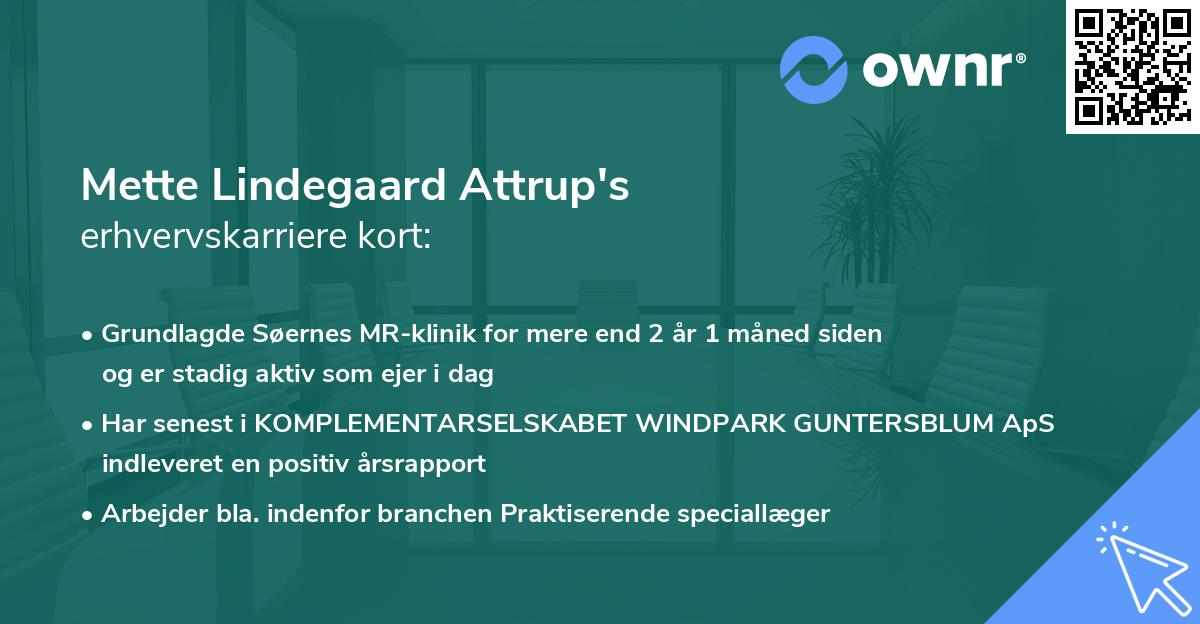 Mette Lindegaard Attrup's erhvervskarriere kort
