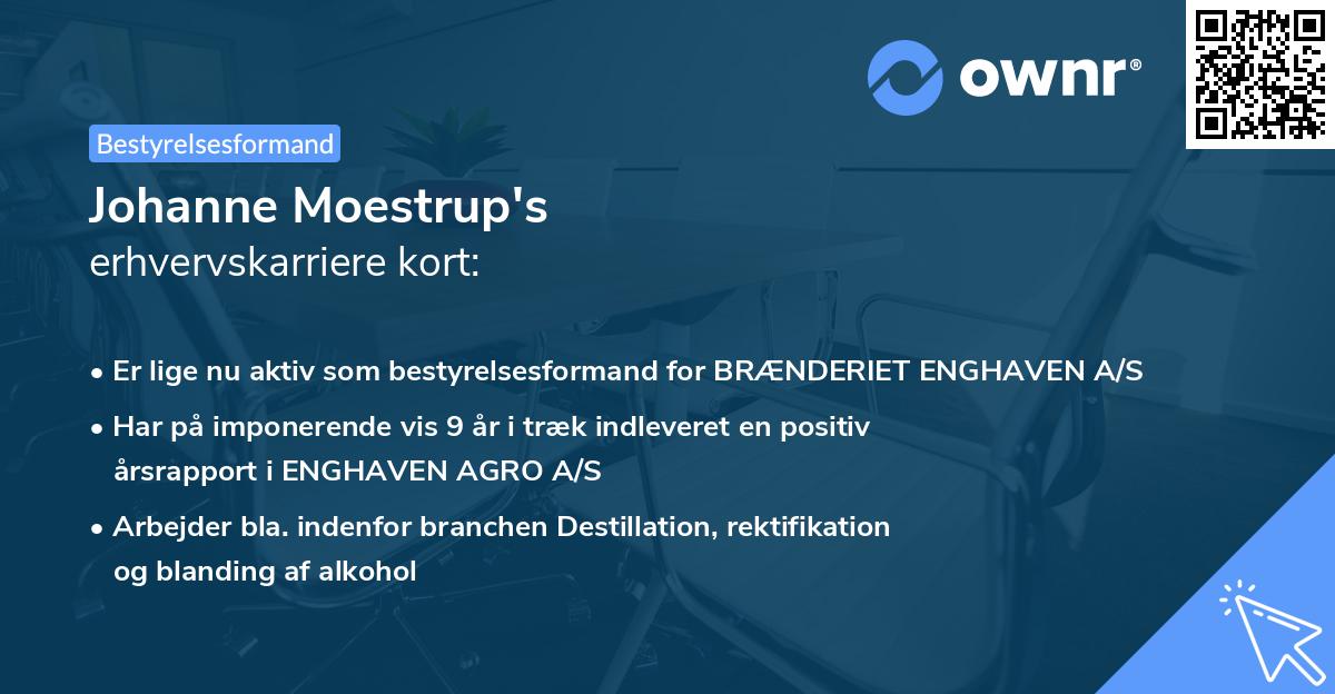 Johanne Moestrup's erhvervskarriere kort