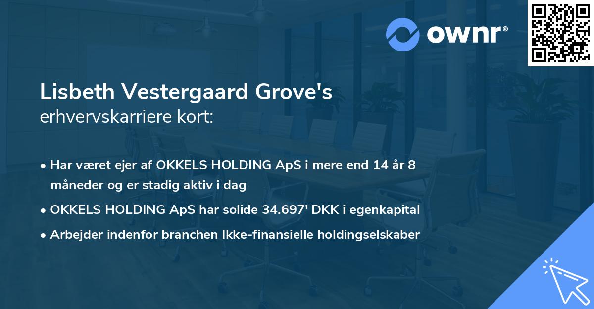 Lisbeth Vestergaard Grove's erhvervskarriere kort