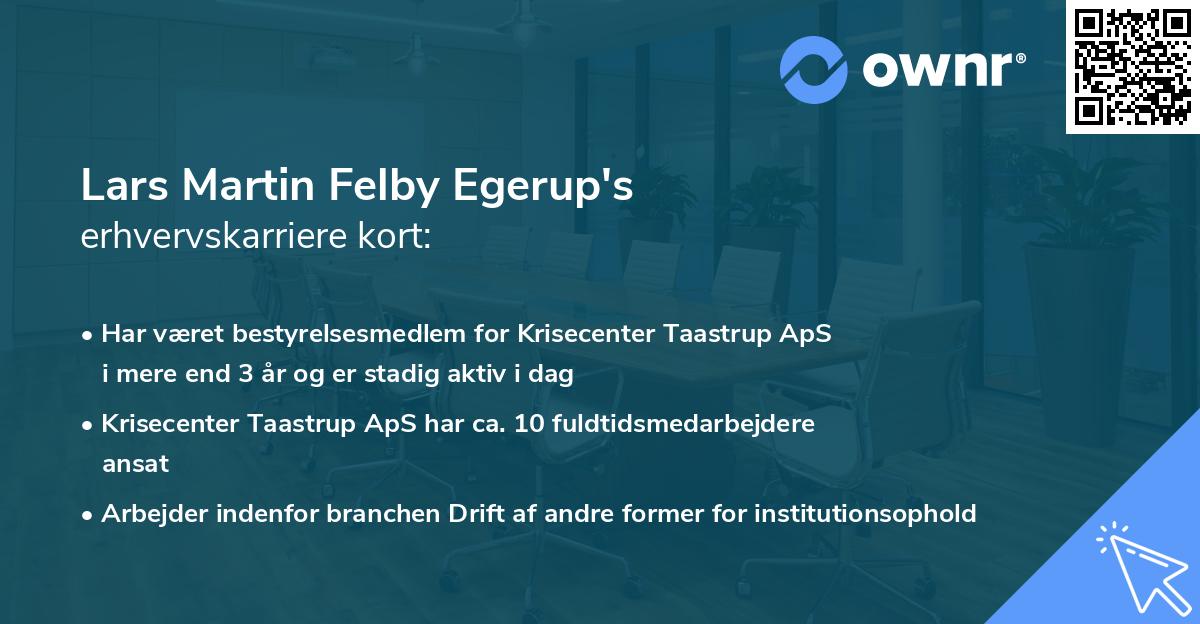 Lars Martin Felby Egerup's erhvervskarriere kort