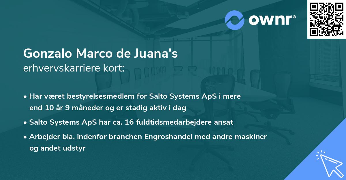 Gonzalo Marco de Juana's erhvervskarriere kort