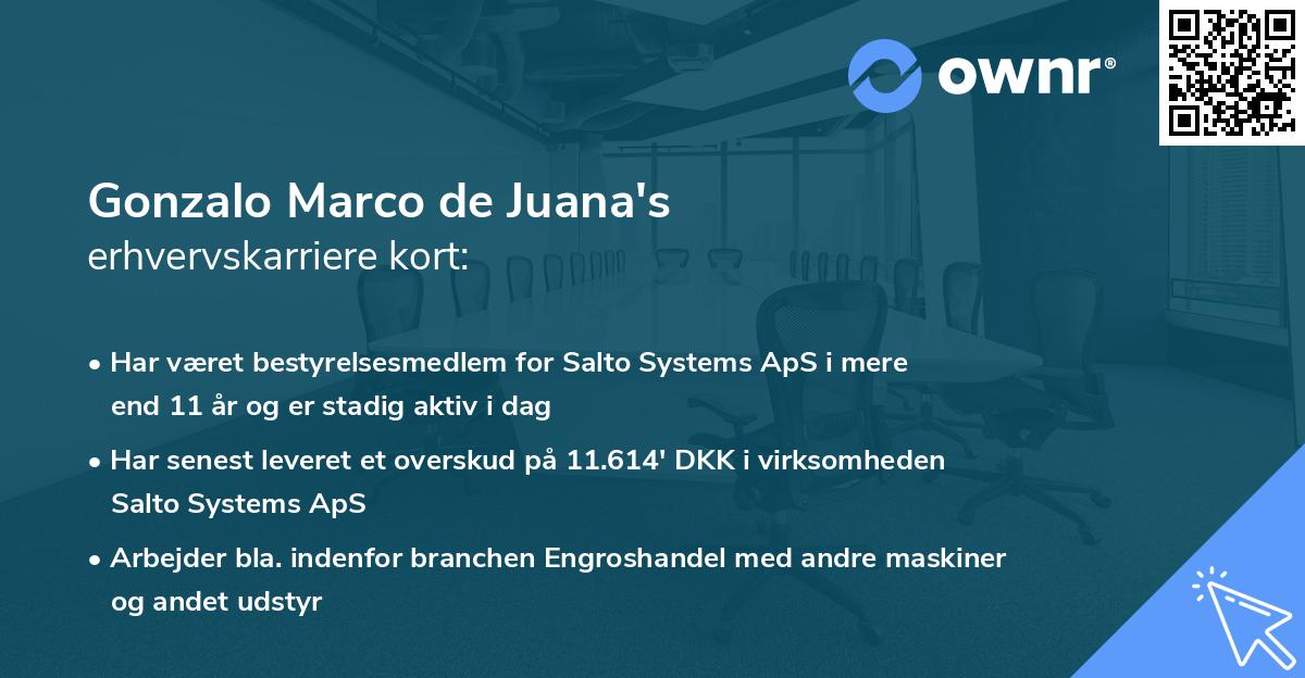 Gonzalo Marco de Juana's erhvervskarriere kort