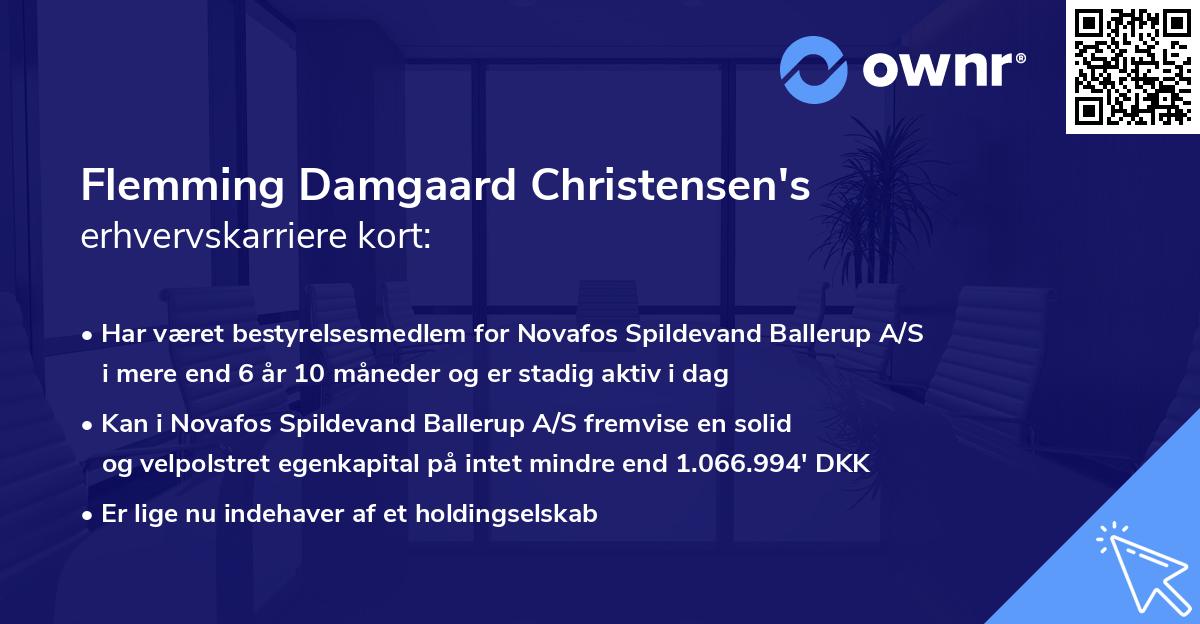 Flemming Damgaard Christensen's erhvervskarriere kort