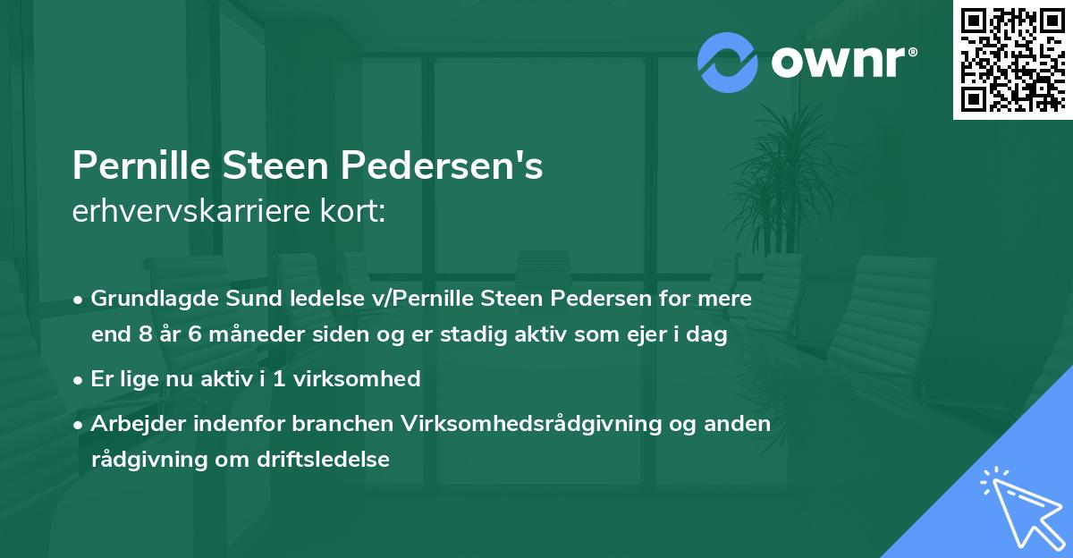 Pernille Steen Pedersen's erhvervskarriere kort