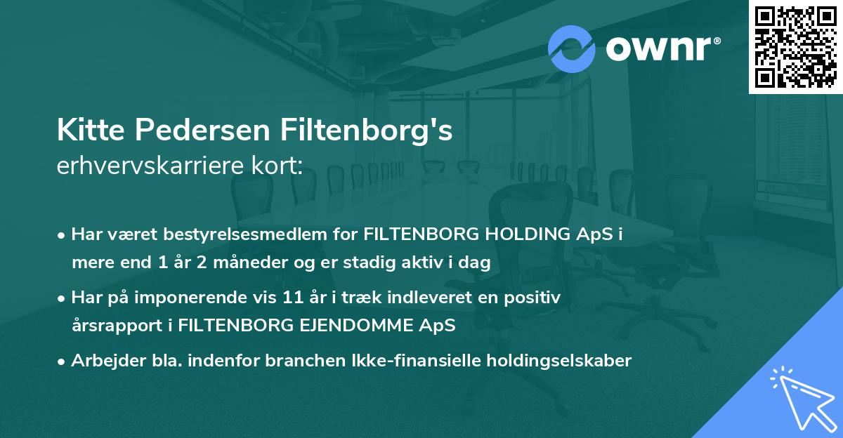 Kitte Pedersen Filtenborg's erhvervskarriere kort