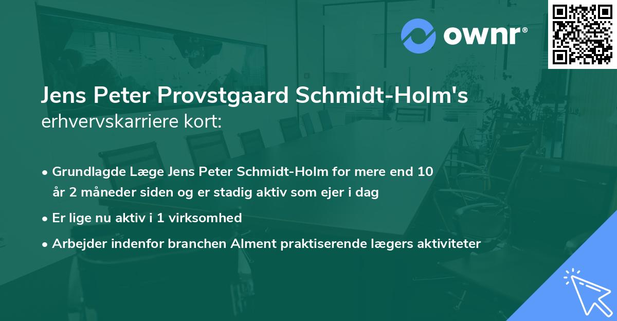 Jens Peter Provstgaard Schmidt-Holm's erhvervskarriere kort