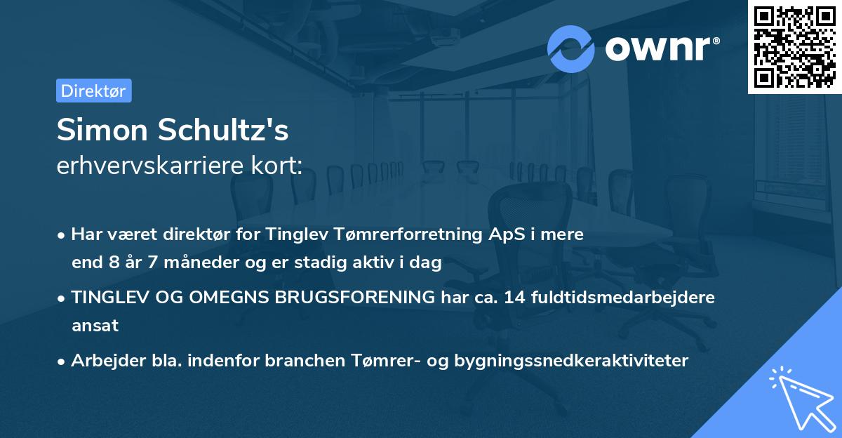 Simon Schultz's erhvervskarriere kort