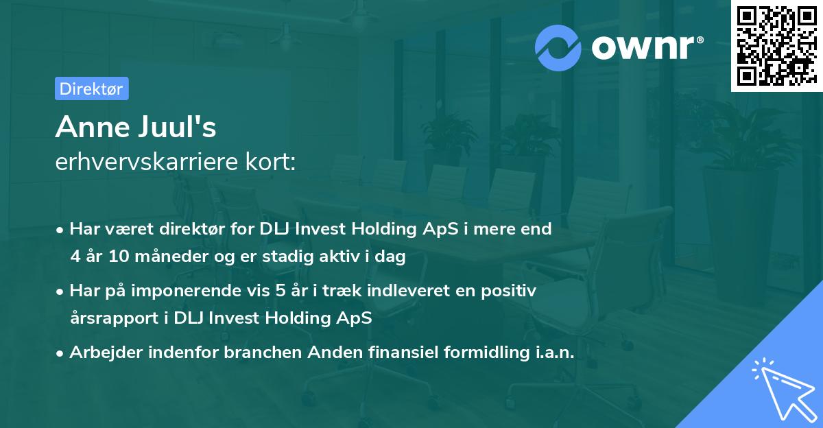 Anne Juul's erhvervskarriere kort