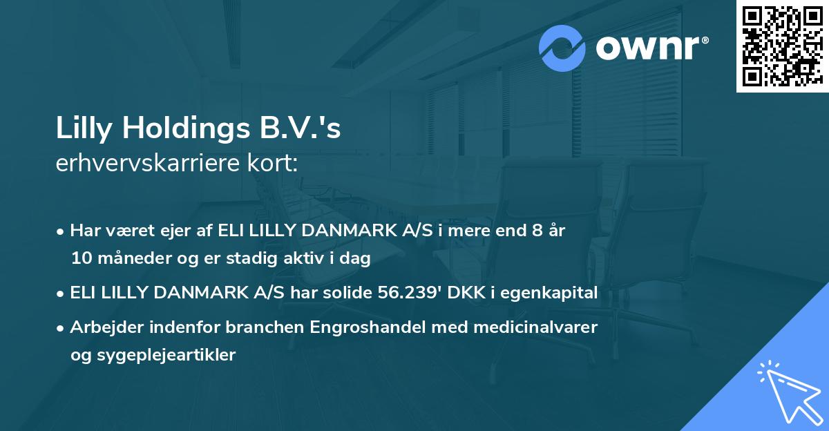 Lilly Holdings B.V.'s erhvervskarriere kort