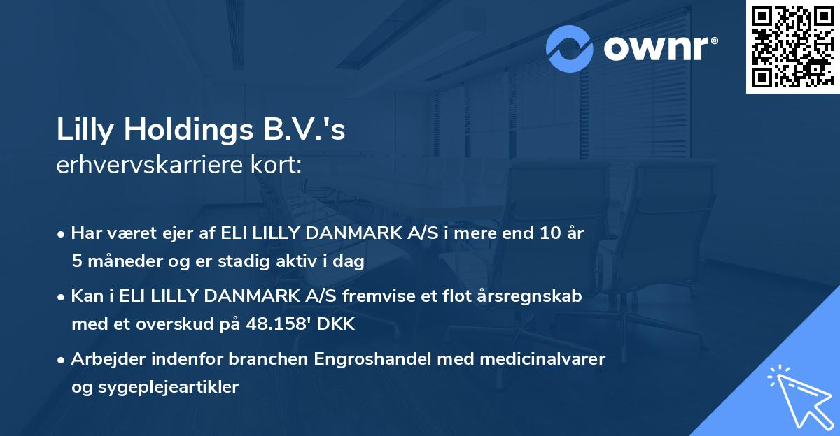 Lilly Holdings B.V.'s erhvervskarriere kort