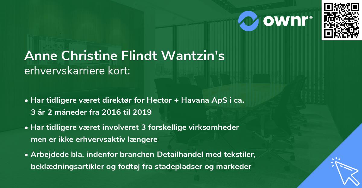 Anne Christine Flindt Wantzin's erhvervskarriere kort