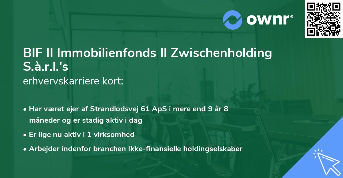 BIF II Immobilienfonds II Zwischenholding S.à.r.l.'s erhvervskarriere kort