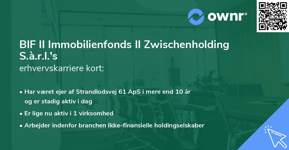 BIF II Immobilienfonds II Zwischenholding S.à.r.l.'s erhvervskarriere kort