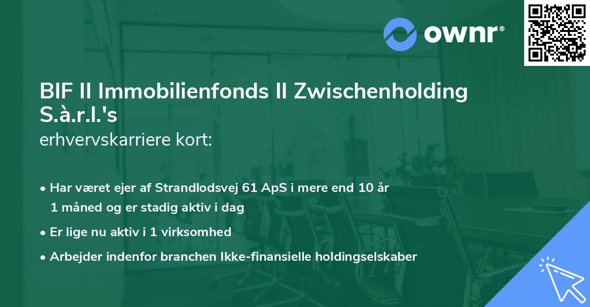 BIF II Immobilienfonds II Zwischenholding S.à.r.l.'s erhvervskarriere kort