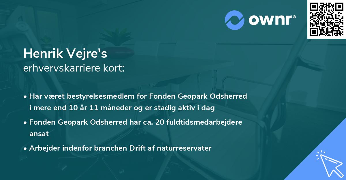 Henrik Vejre's erhvervskarriere kort