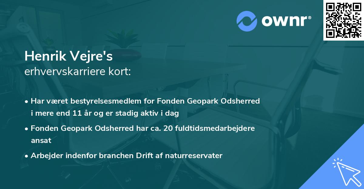 Henrik Vejre's erhvervskarriere kort