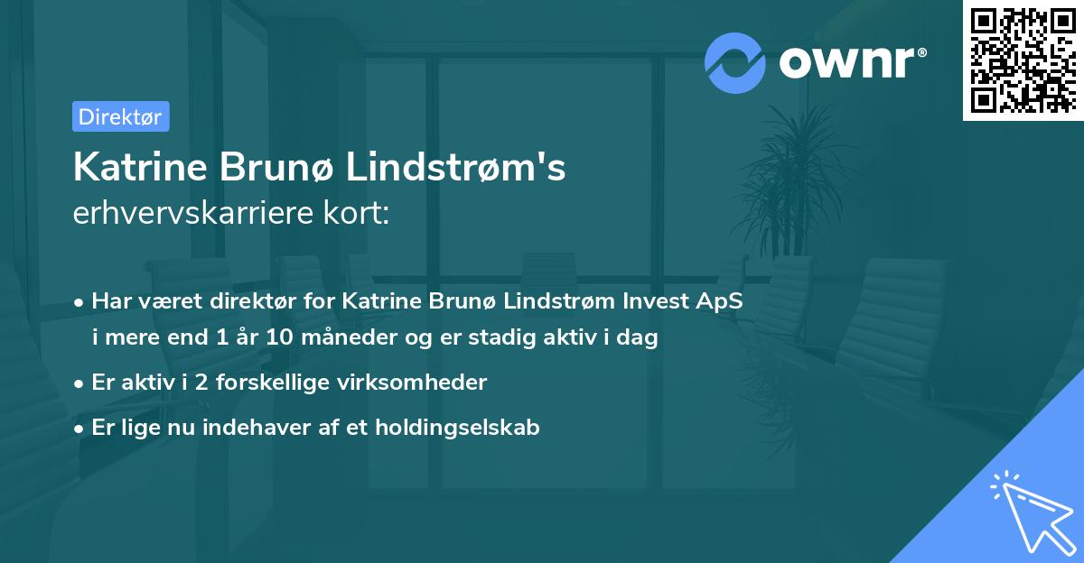 Katrine Brunø Lindstrøm's erhvervskarriere kort