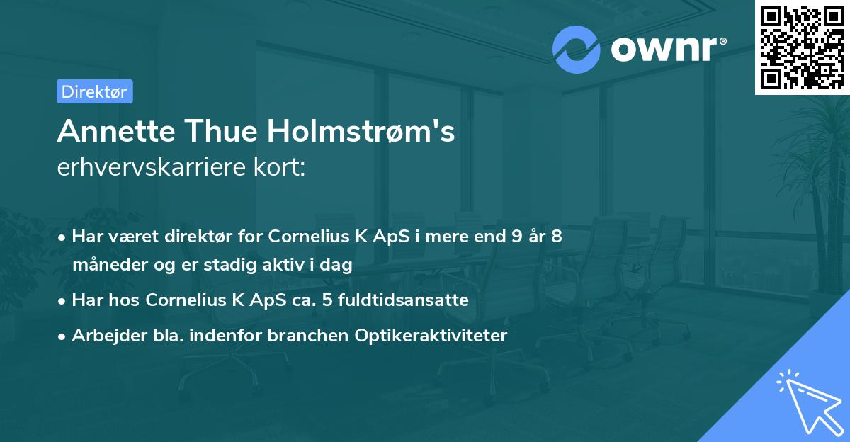 Annette Thue Holmstrøm's erhvervskarriere kort