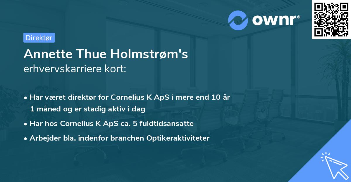 Annette Thue Holmstrøm's erhvervskarriere kort