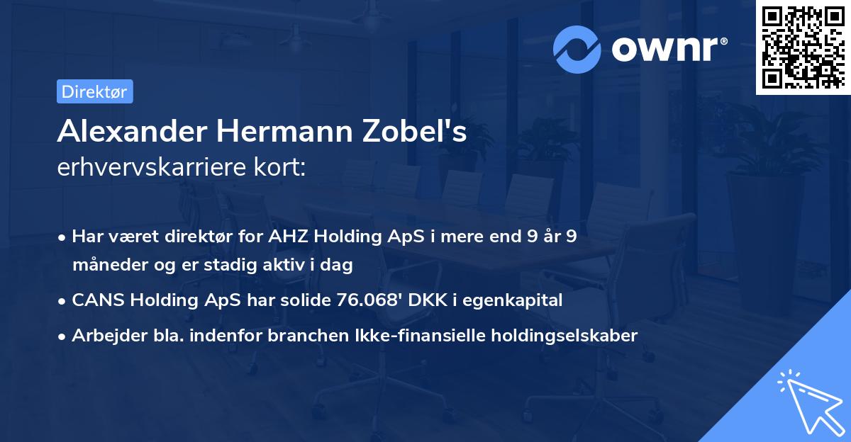 Alexander Hermann Zobel's erhvervskarriere kort