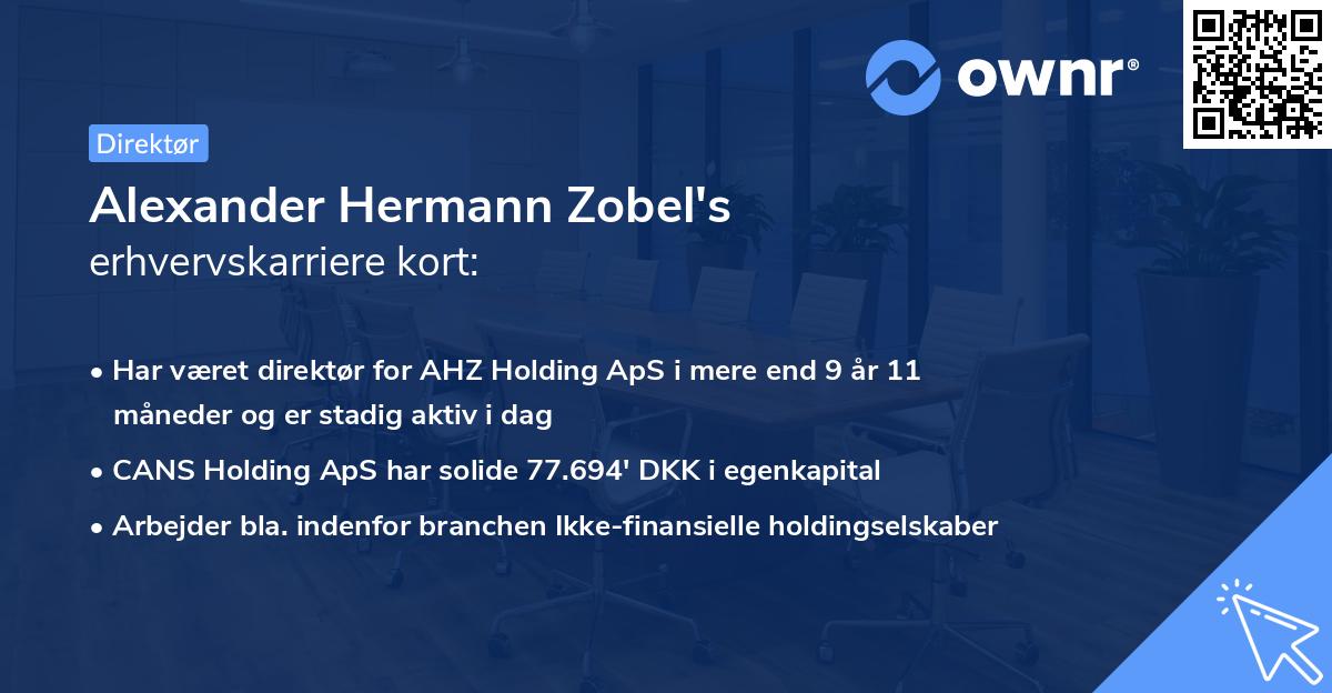 Alexander Hermann Zobel's erhvervskarriere kort