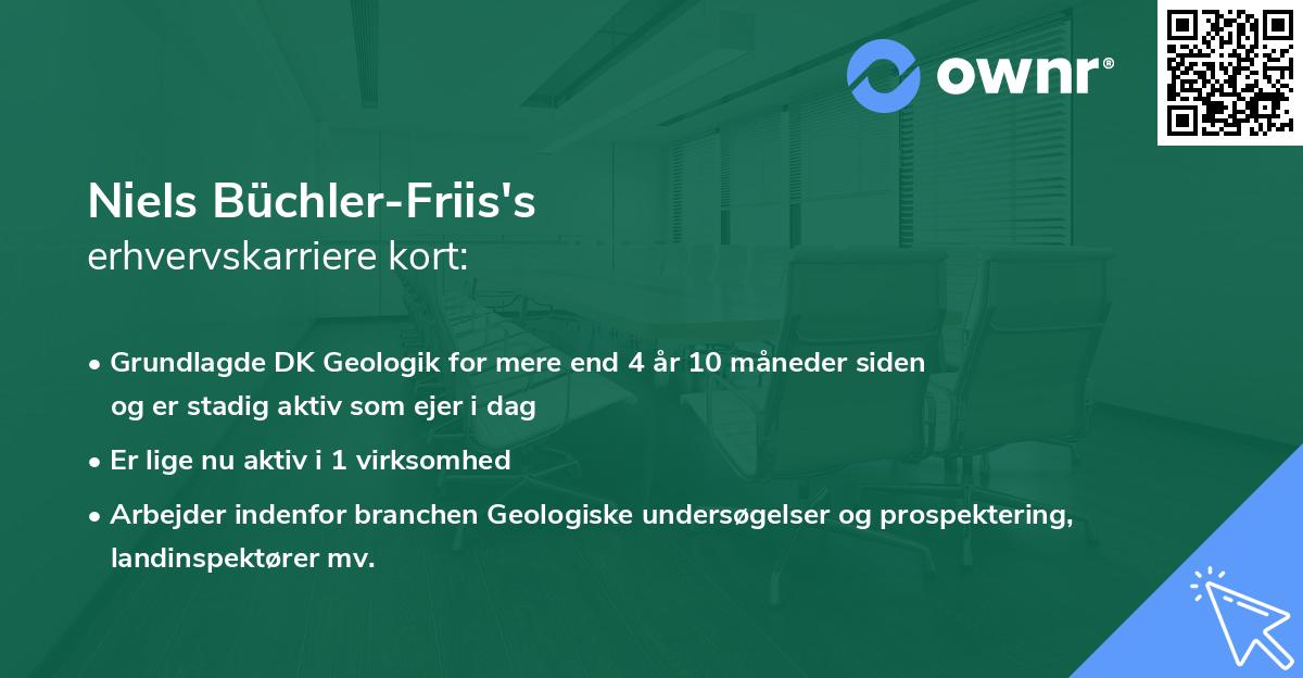 Niels Büchler-Friis's erhvervskarriere kort