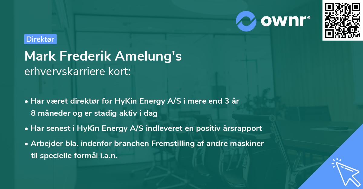 Mark Frederik Amelung's erhvervskarriere kort
