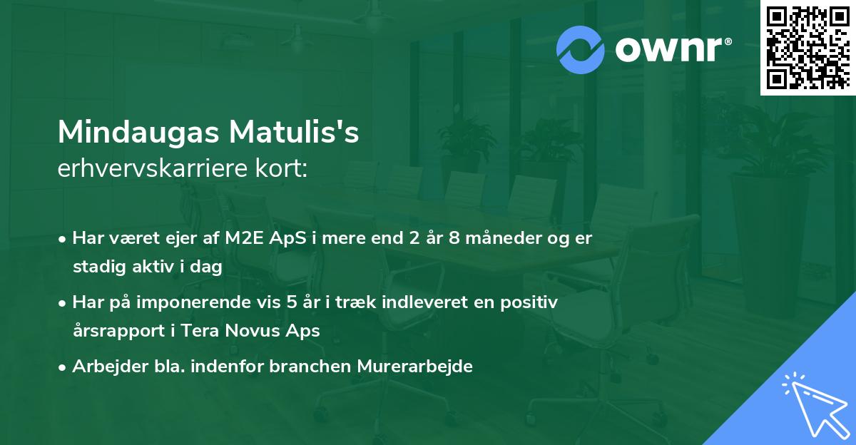 Mindaugas Matulis's erhvervskarriere kort