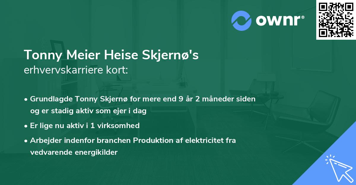 Tonny Meier Heise Skjernø's erhvervskarriere kort